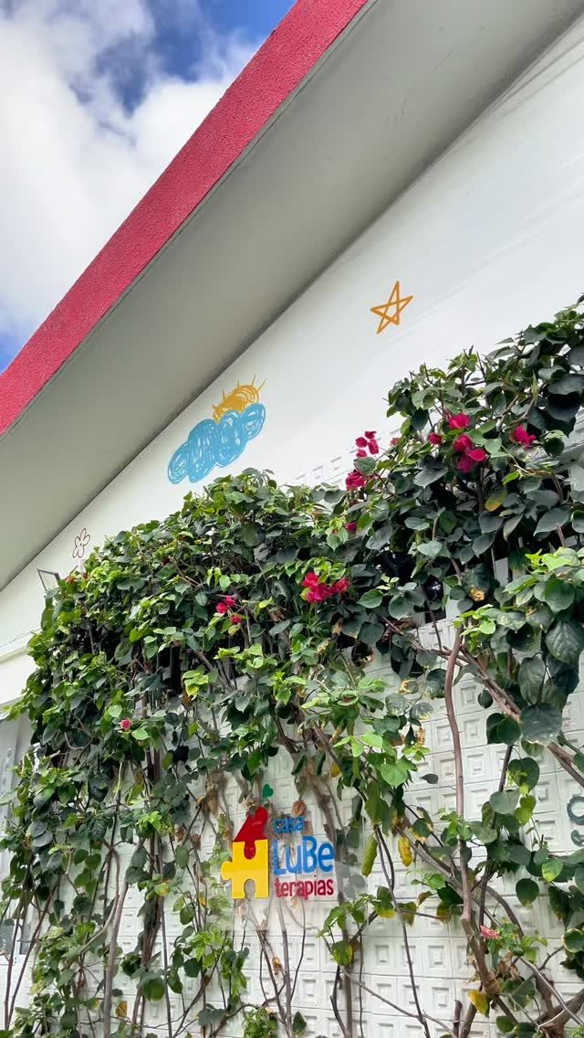 Instagram post from lubeterapias. This post is in position 1.